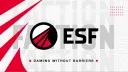 eSports Faction banner