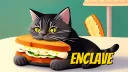 Enclave banner