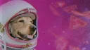 Arf banner