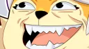 The Fox Den banner