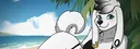 banner