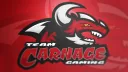 Team Carnage Gaming banner