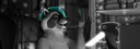 banner