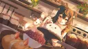 Galactic Cats banner