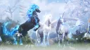Black Desert Horse Community banner