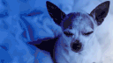 GLOOM banner