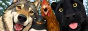 banner