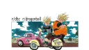 Destructo Discord banner