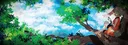 banner