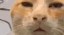 El Sotano de TuKu banner