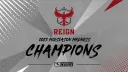 Atlanta Reign banner