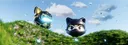 banner