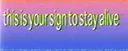 banner
