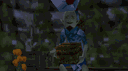 Shanks banner