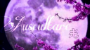 Auscultare banner
