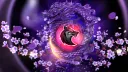 Akuma's Official Discord banner