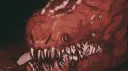 Metal's Mausoleum of Misery banner