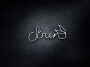 banner