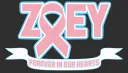 AFS banner