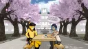 Drakonische Kätzchen banner
