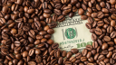 Beermoney Discord server banner
