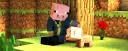 banner
