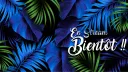 La Tribu🌴 banner