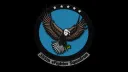 355th VFS banner