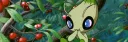 Serebii banner