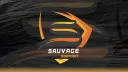 Sauvage Esports Public banner
