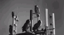 OVO Sound Discord server banner