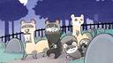 Fierce Ferret Radio Banner