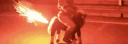 banner
