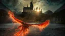 Harry Potter Wiki banner