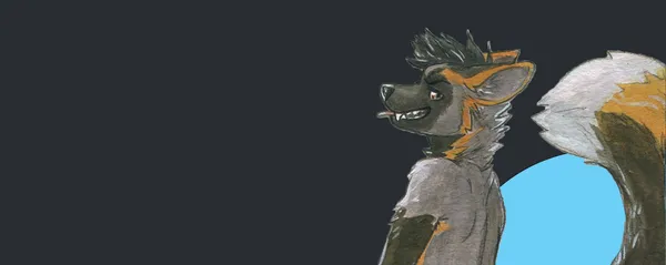 banner