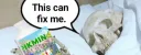 banner