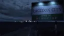 Raccoon City banner