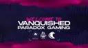 Vanquished Paradox | VPG banner