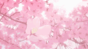 TacoLand banner