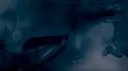Rogue banner