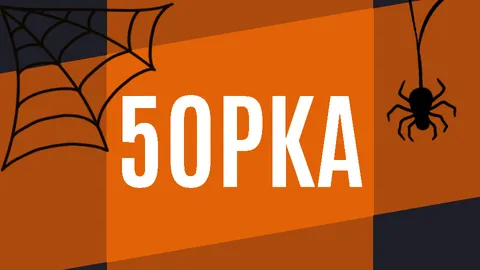 5opka | #СП banner