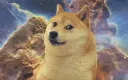 Damn Discord banner