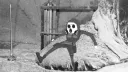 S.T.A.L.K.E.R.: Discord of Chornobyl banner