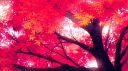 RedFox Community Discord server banner