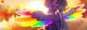 banner