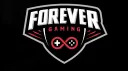 Forever Gaming banner