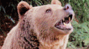 Scav's Clan banner