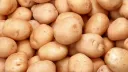 potato smp banner