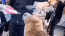Throwback Official banner