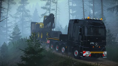 TruckersMP banner